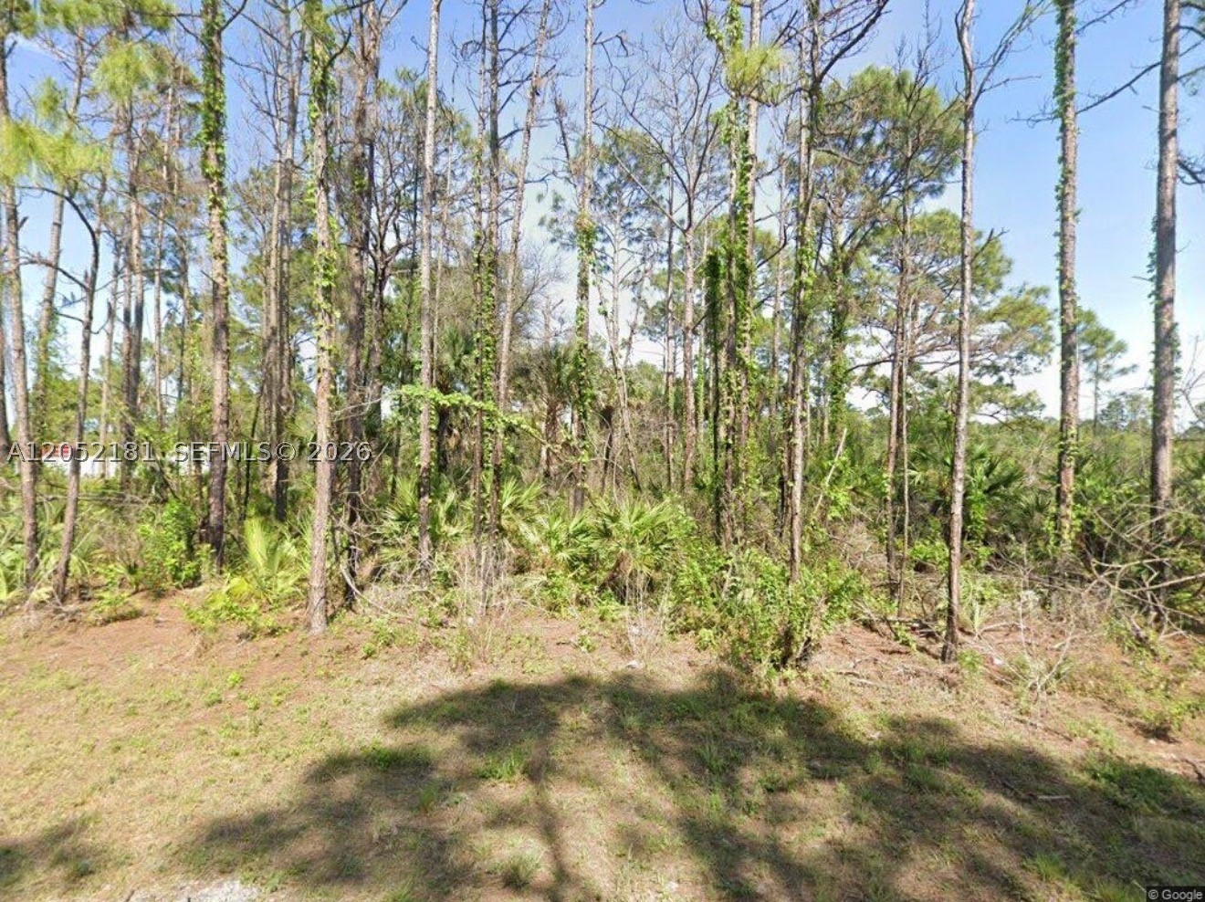 2814 Ida Ave N Property Photo 12