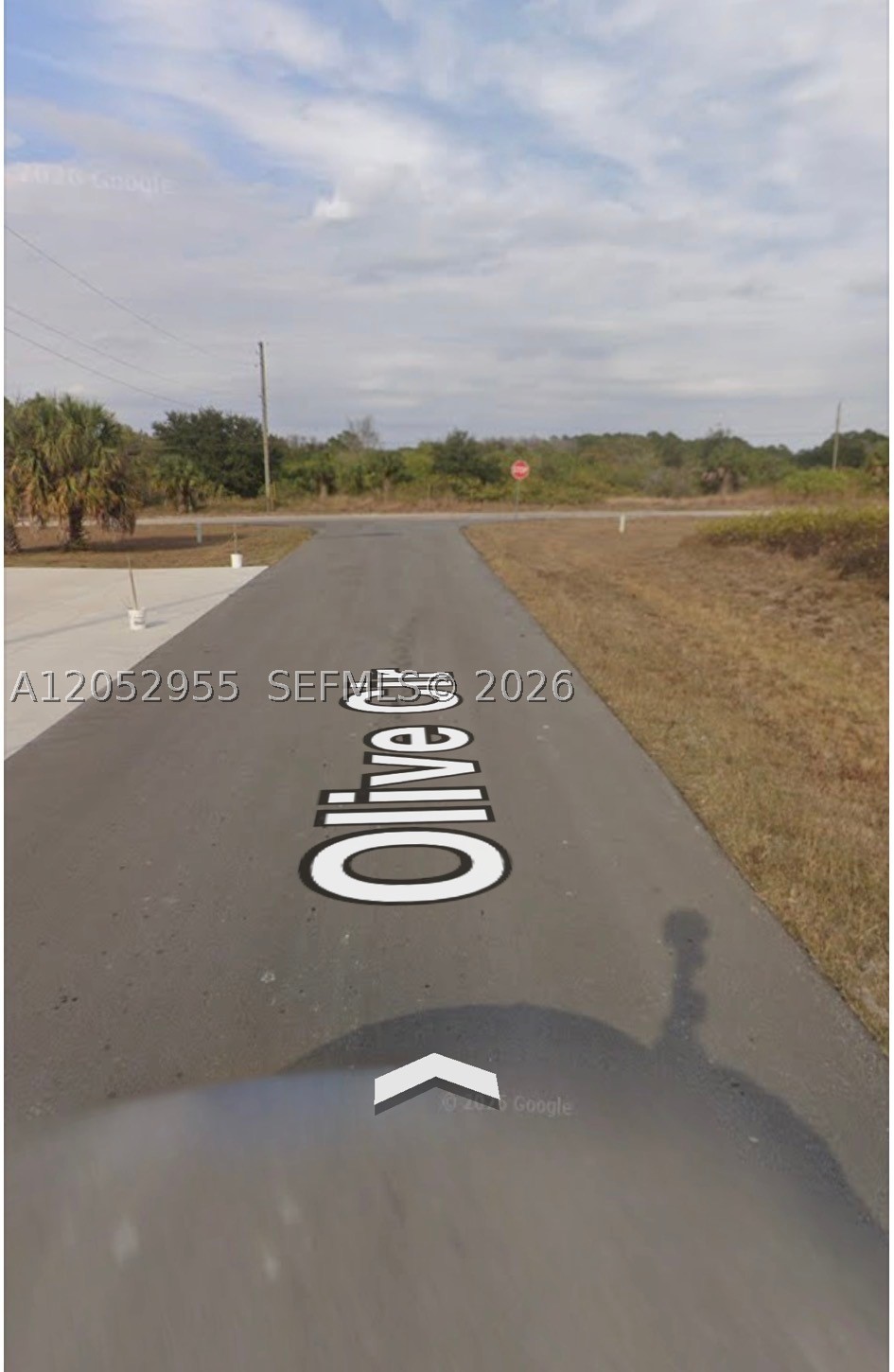 8026 Olive Circle Property Photo 3