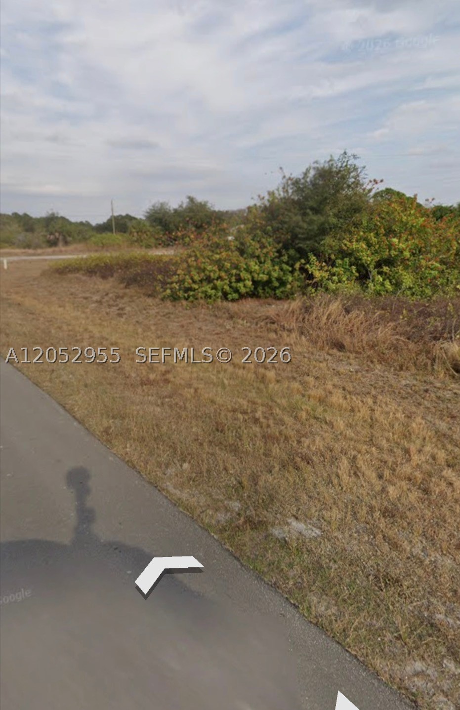8026 Olive Circle Property Photo 4