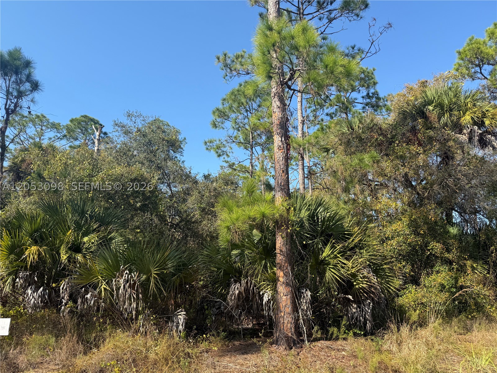740 S Lindero St Property Photo 4