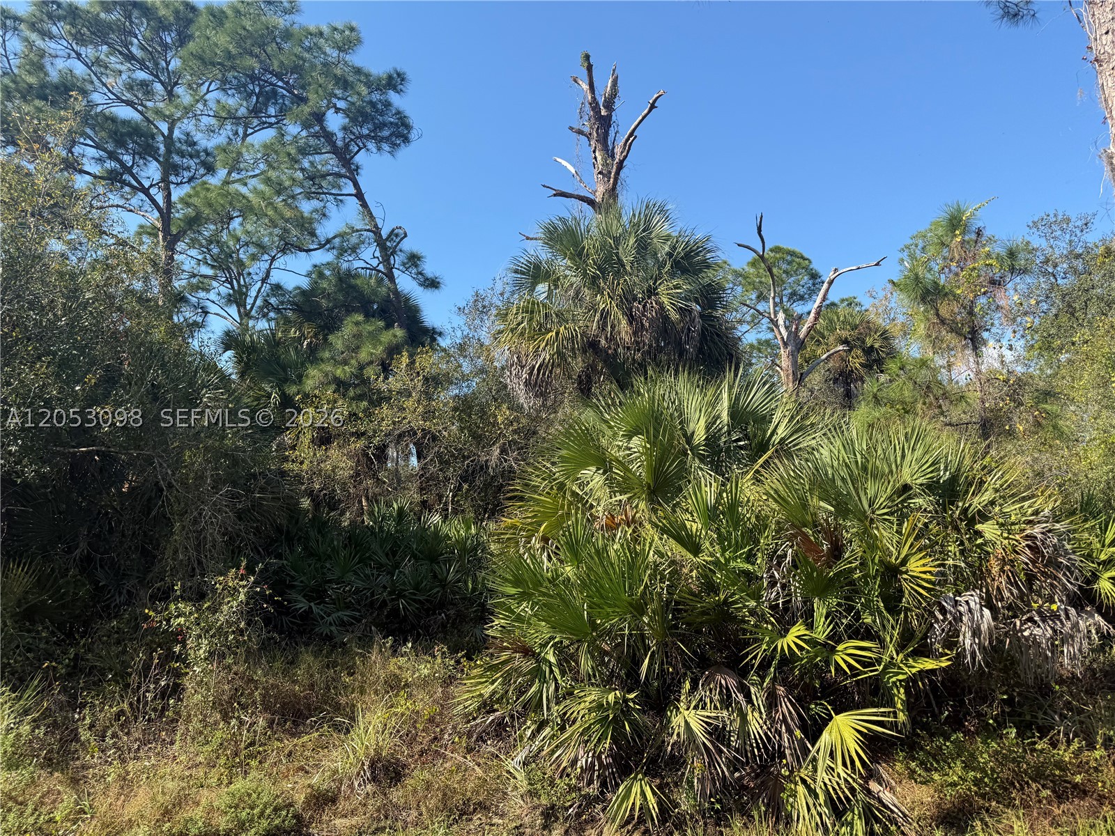740 S Lindero St Property Photo 6