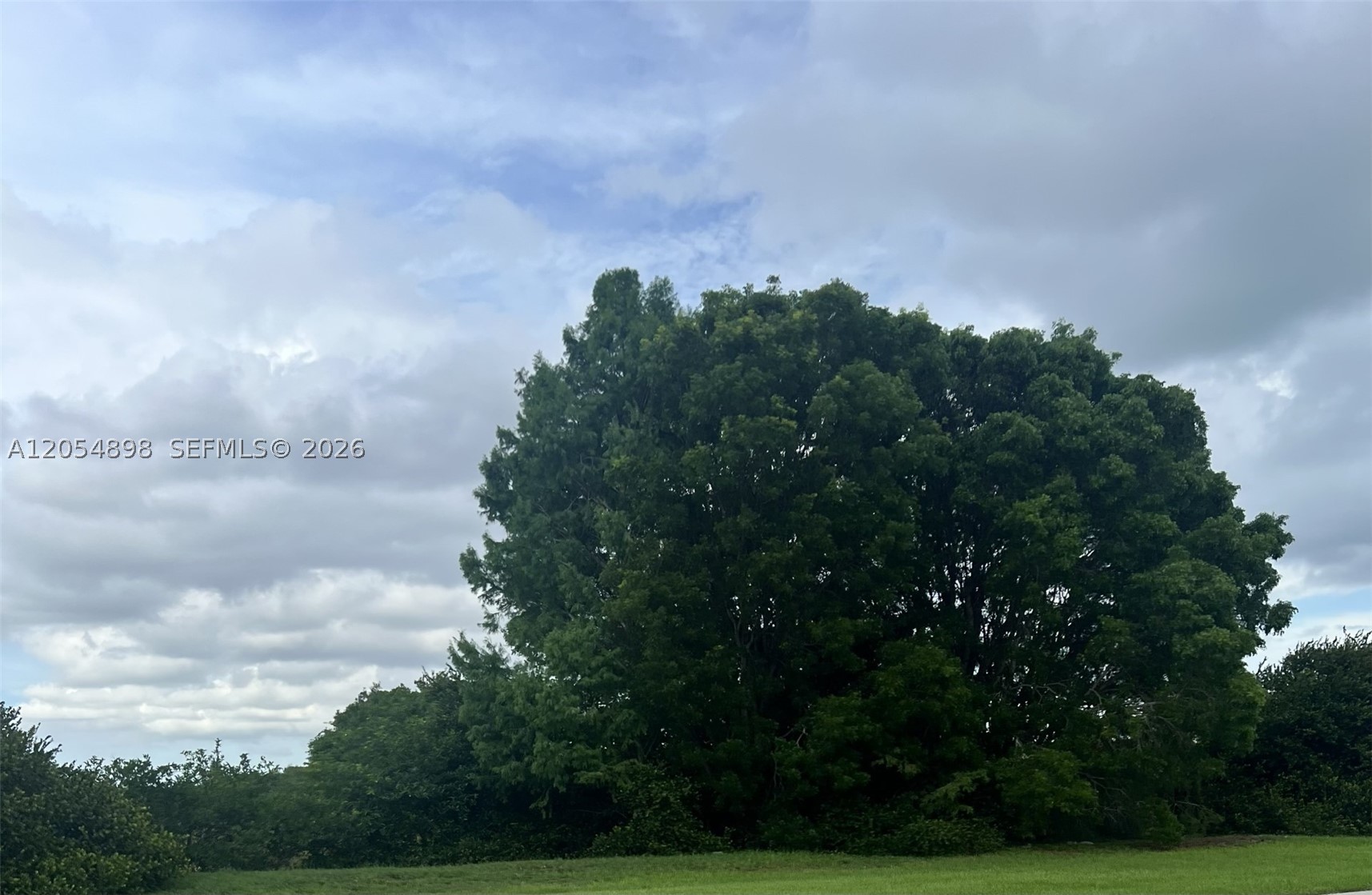 A12054898 Property Photo 1