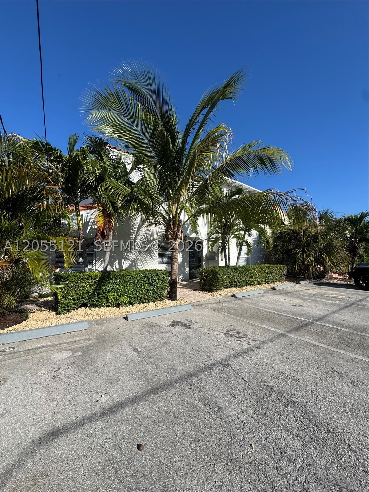2816 Pine Tree Dr 3 Property Photo 12