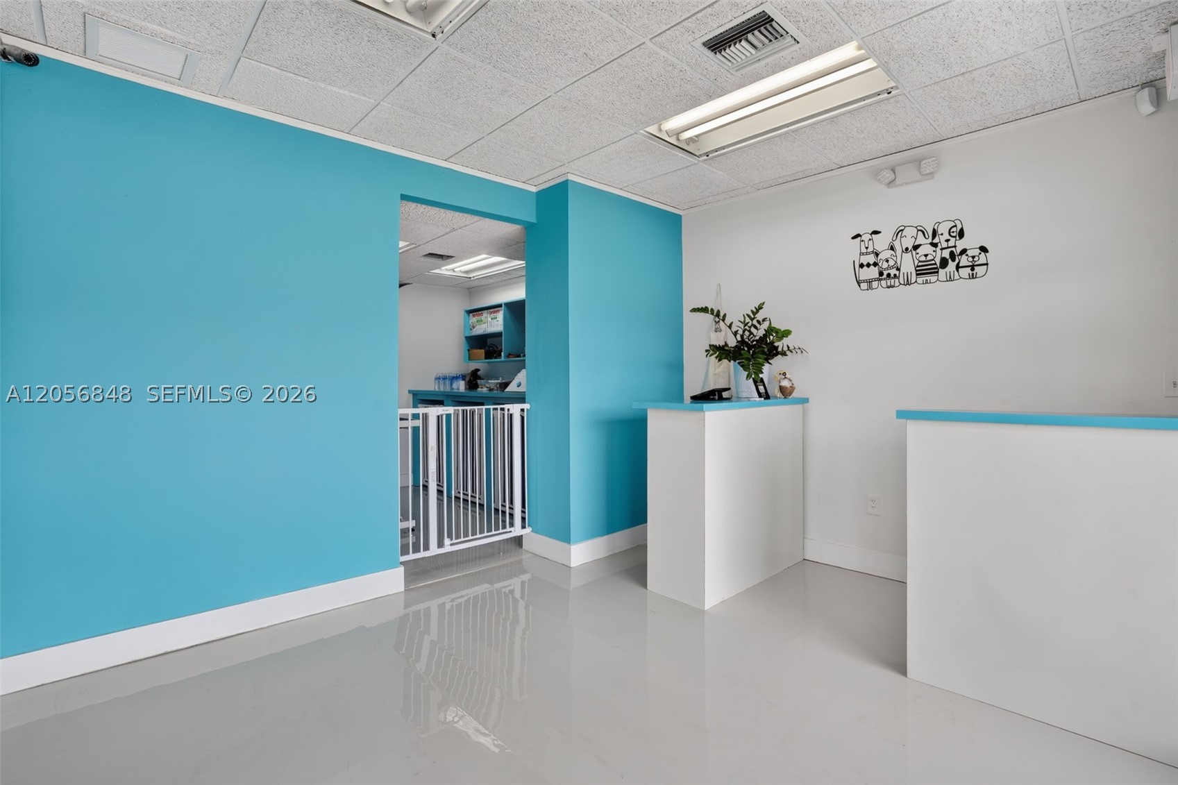 Dog Grooming Shop For Sale In Miami Property Photo 6