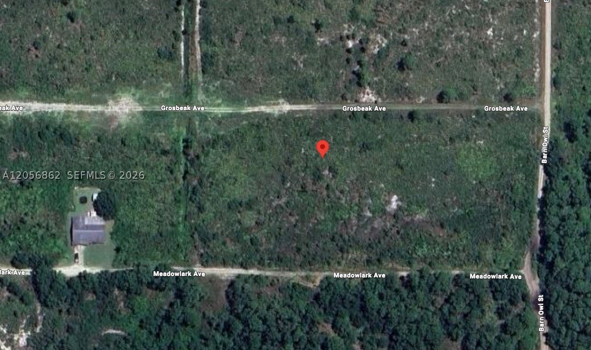 226 Grosbeak Ave Property Photo 2
