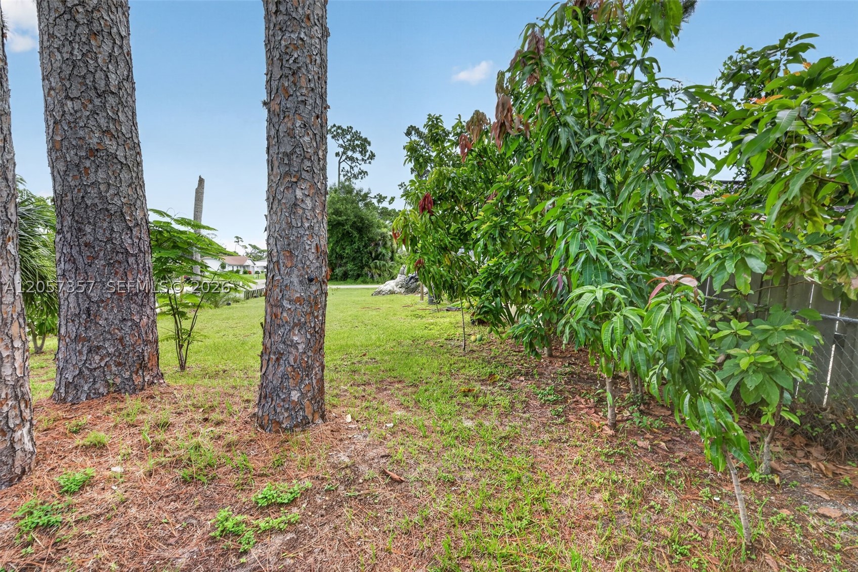 1041 Sanger Street Property Photo 38