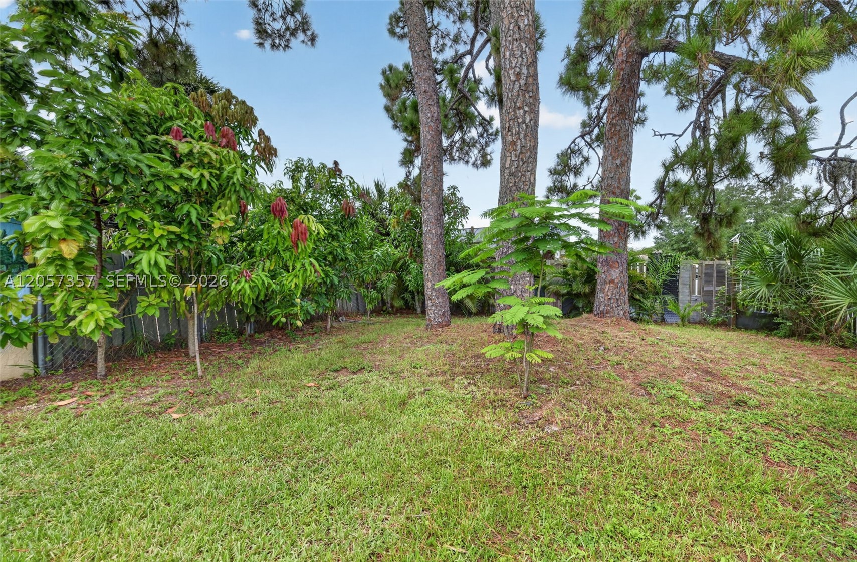 1041 Sanger Street Property Photo 39