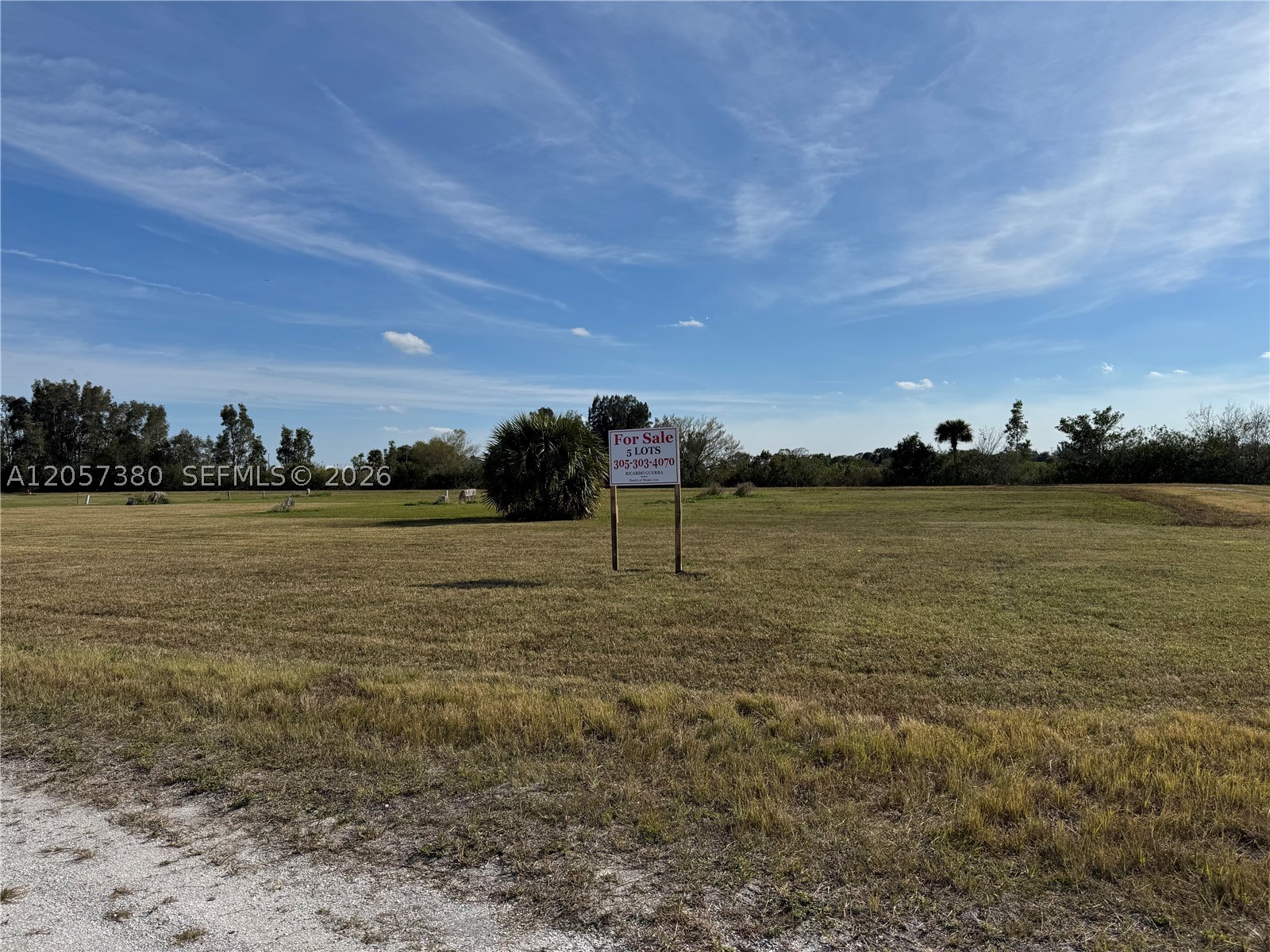 987 Watson Way Property Photo 1