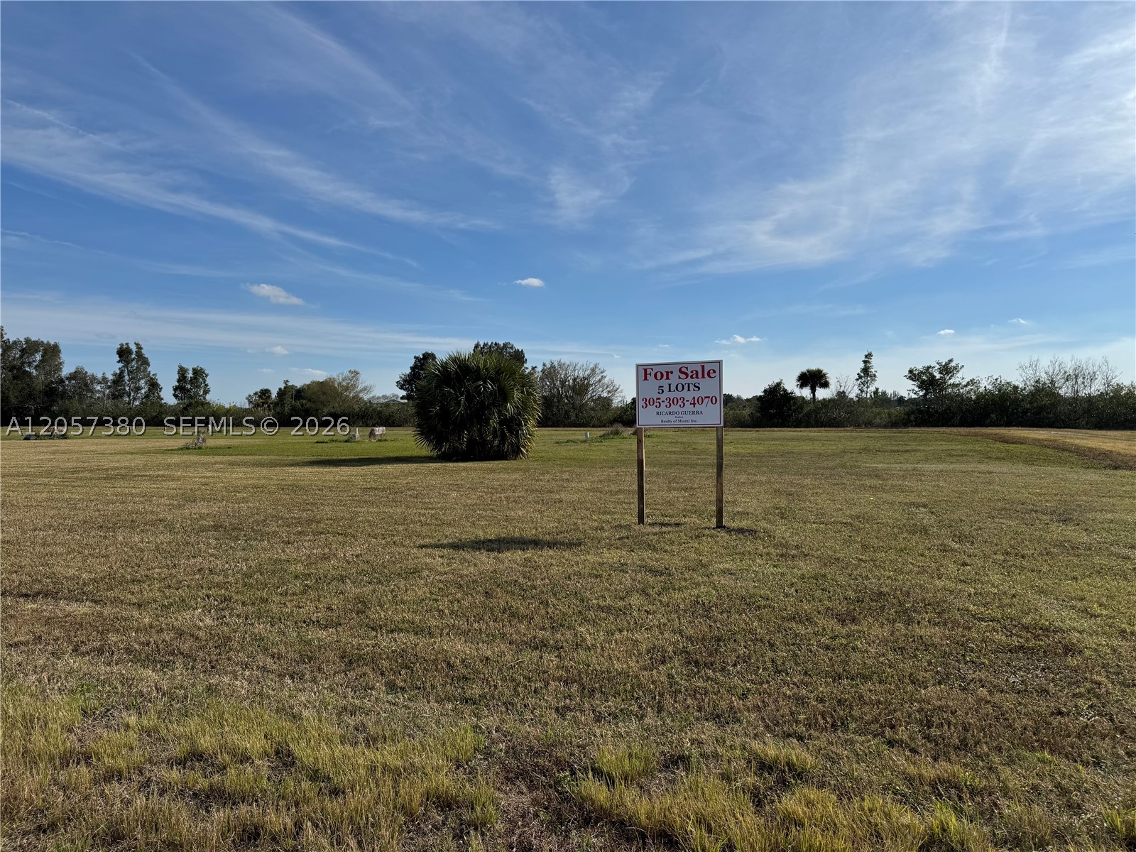 987 Watson Way Property Photo 3