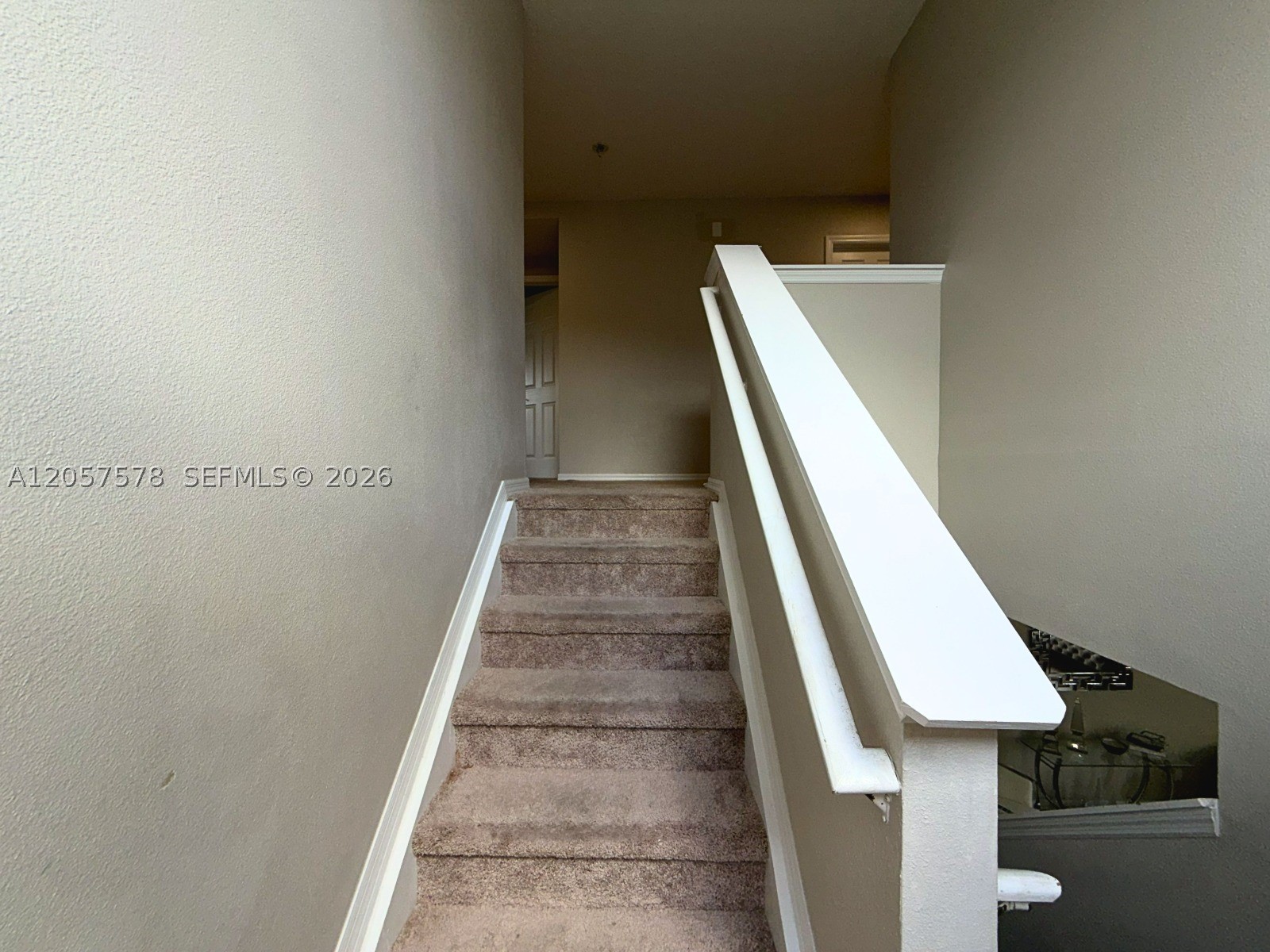 233 Aldridge Ln Property Photo 29