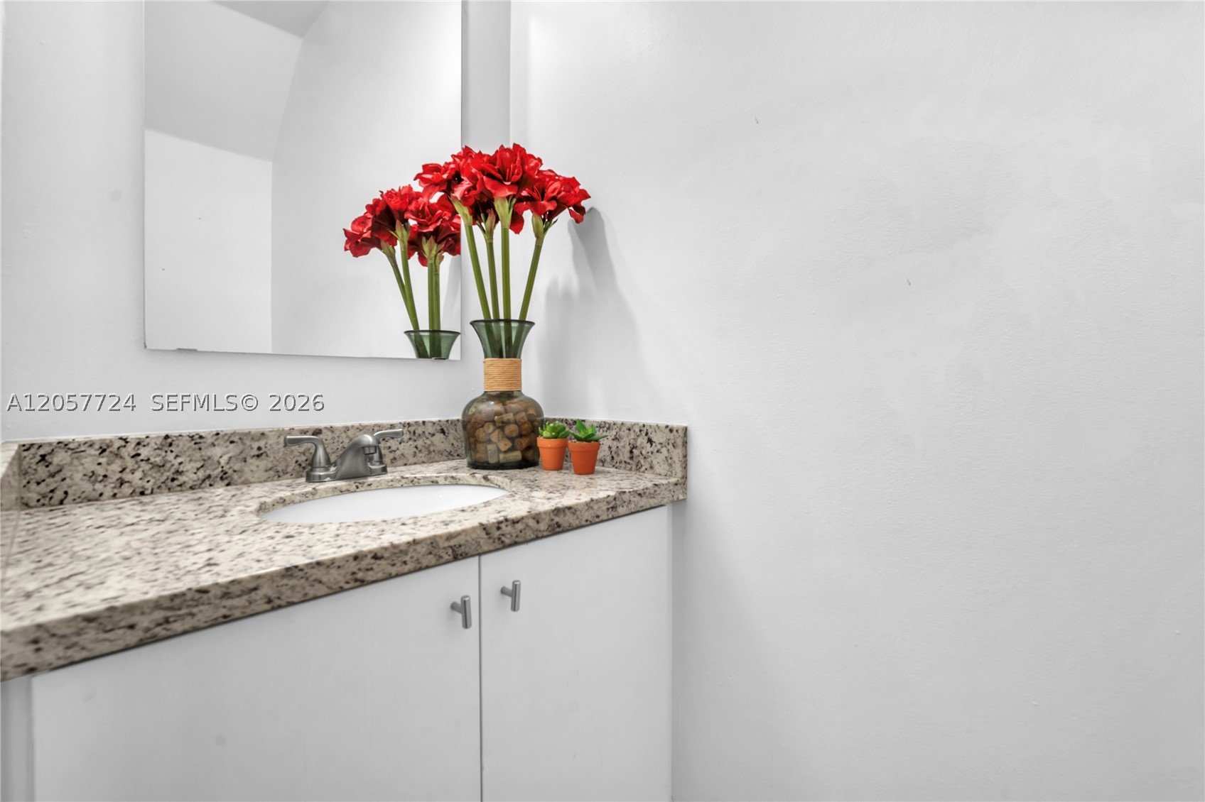 3692 San Simeon Cir Property Photo 25
