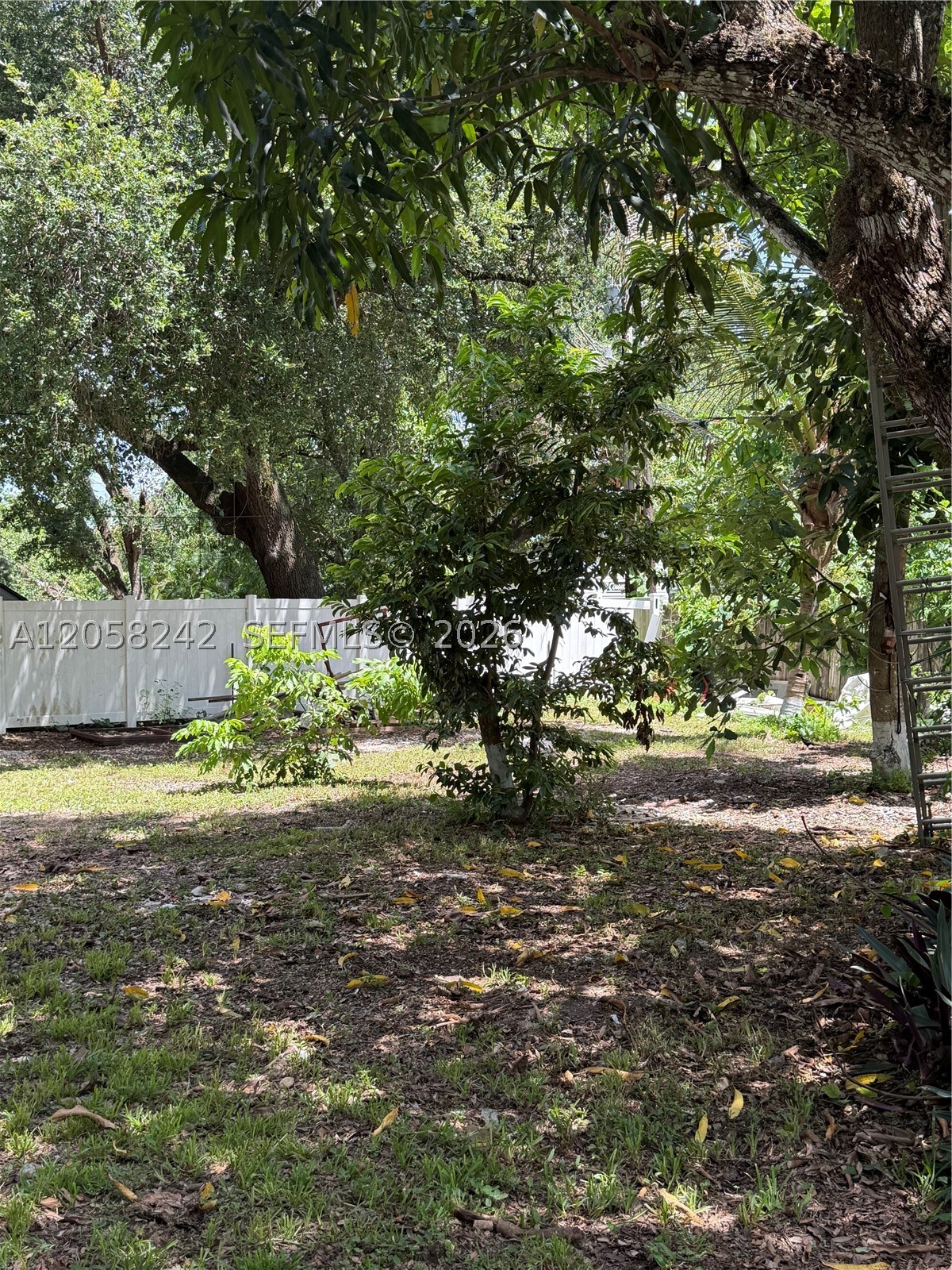 107 Edmund Rd Property Photo 19