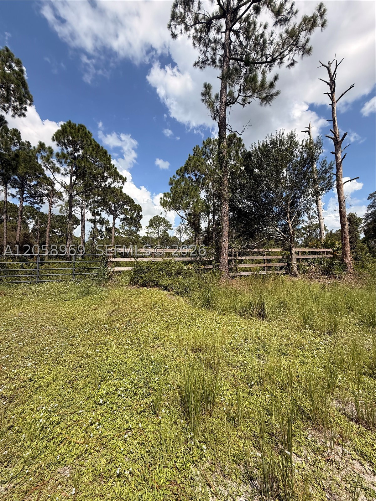 365 N Zambria St Property Photo 2