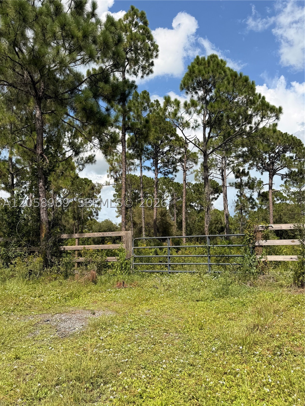 365 N Zambria St Property Photo 3