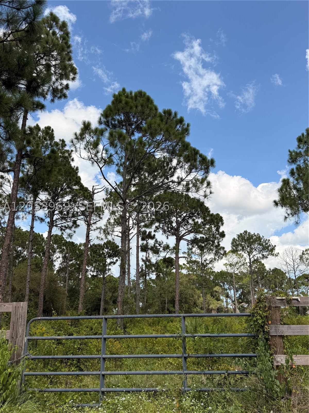 365 N Zambria St Property Photo 4