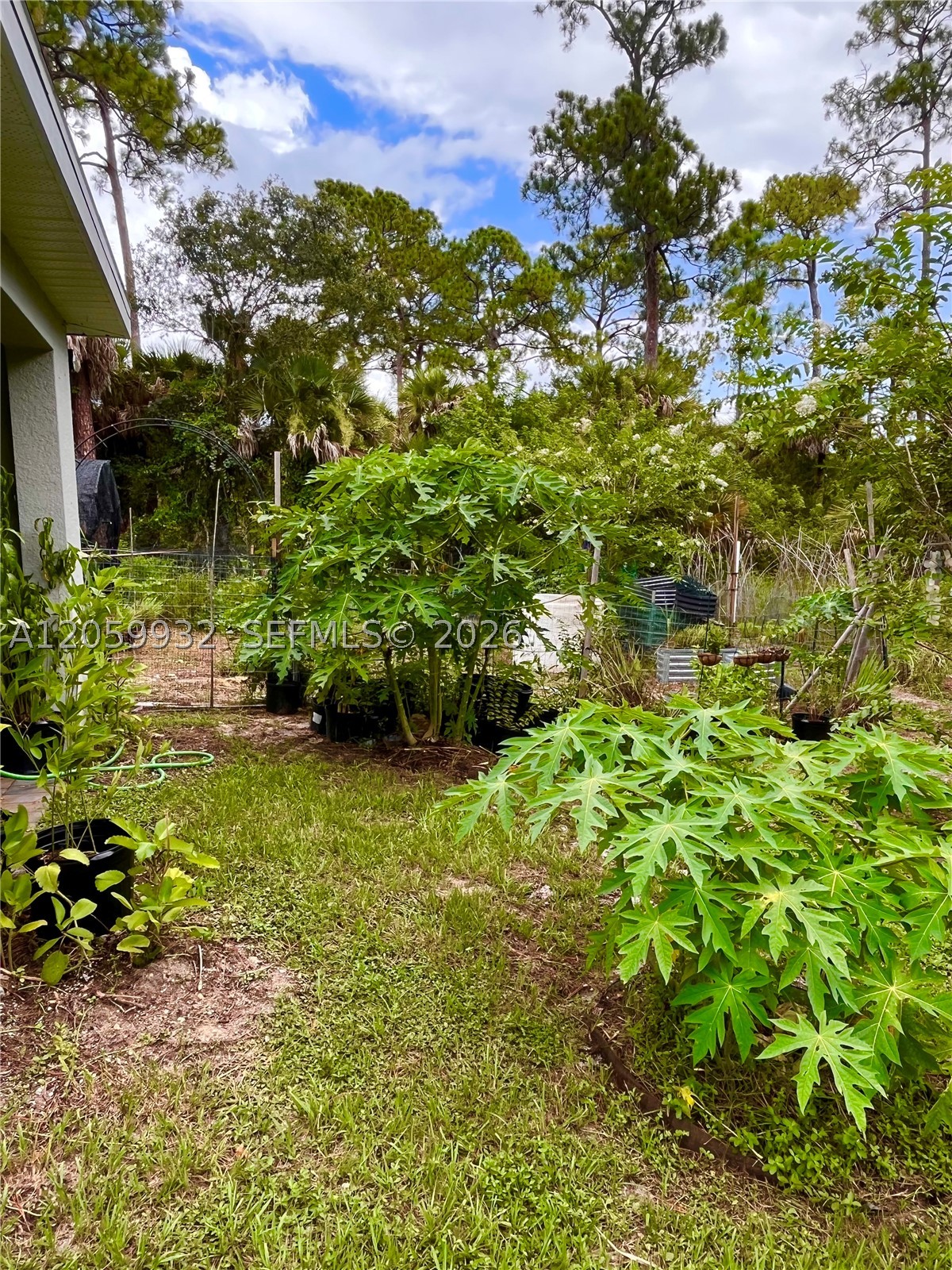 5009 N Rosebud Cir Property Photo 23