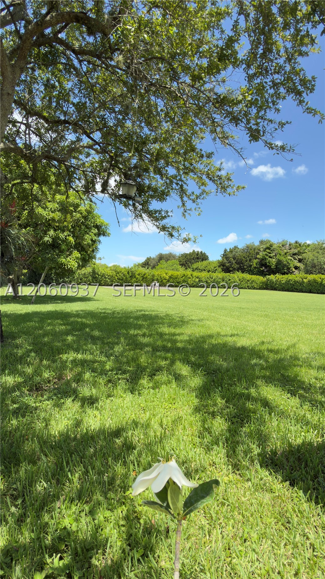 27803 Sw 172nd Pl Property Photo 42