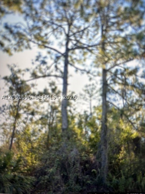 A12061696 Property Photo 1