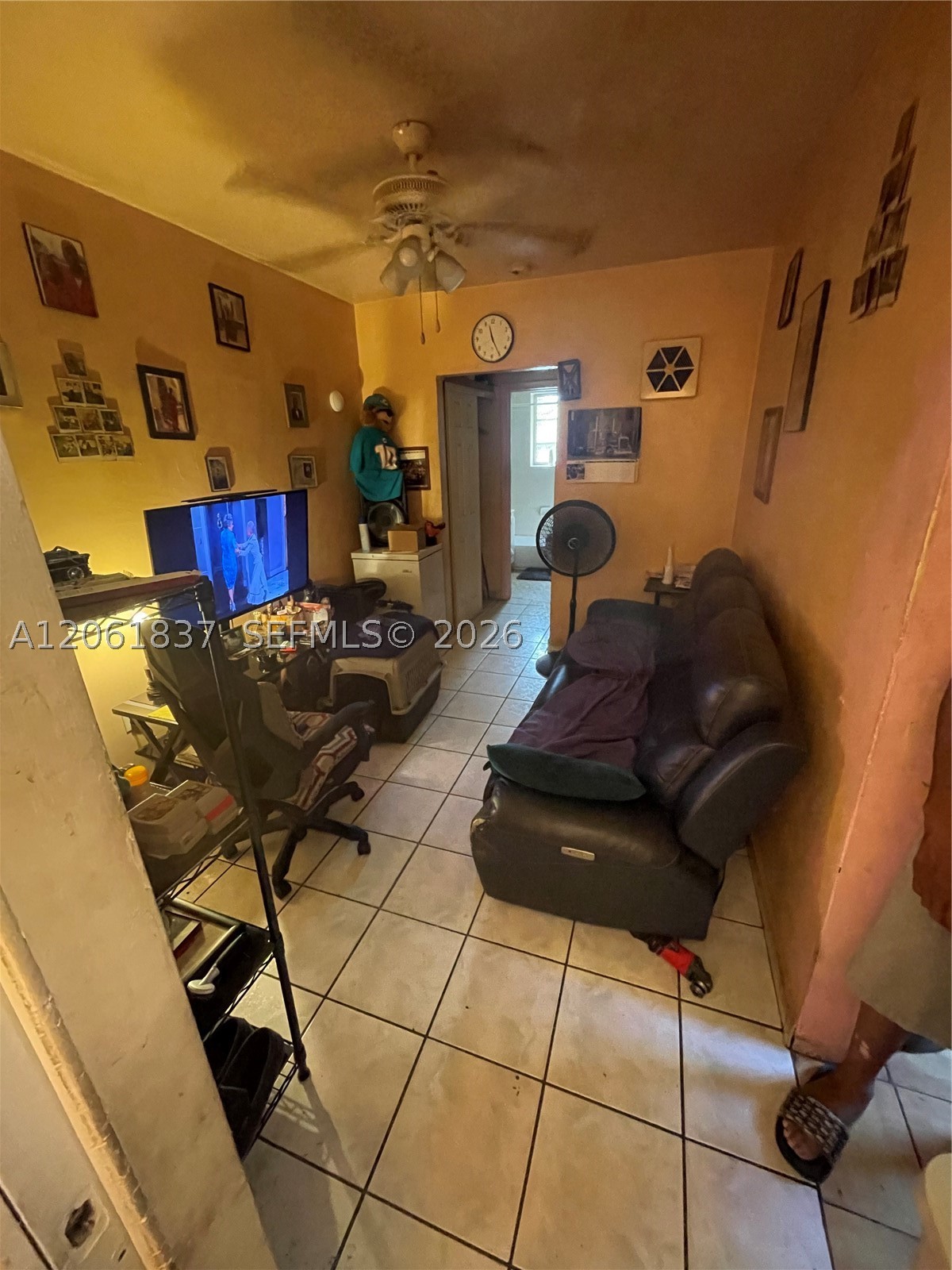 A12061837 Property Photo 7