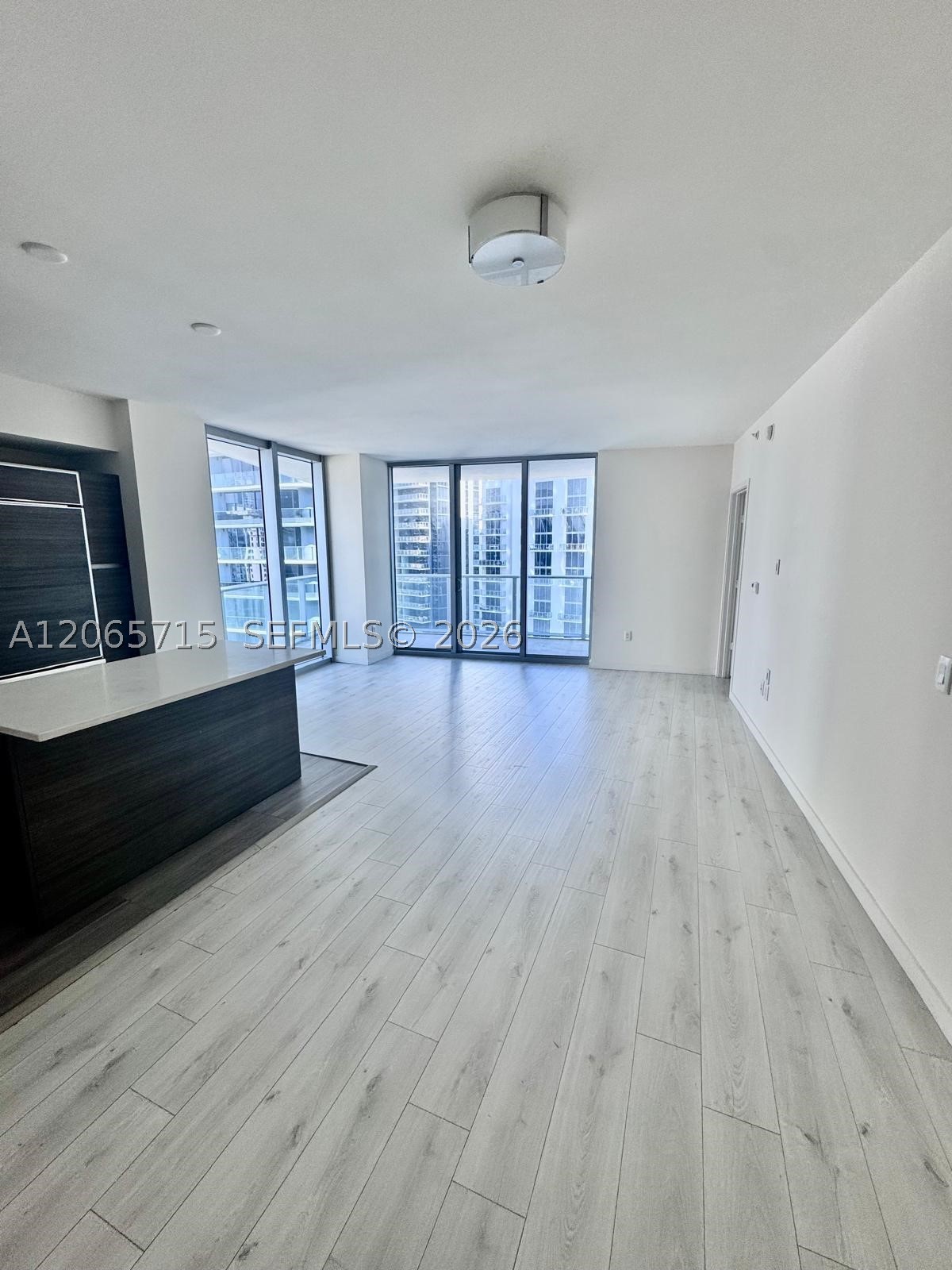 1100 S Miami Ave 3010 Property Photo 1