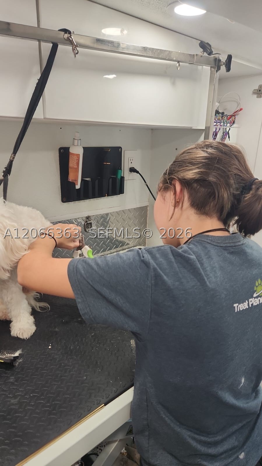 Mobile Pet Grooming Property Photo 7