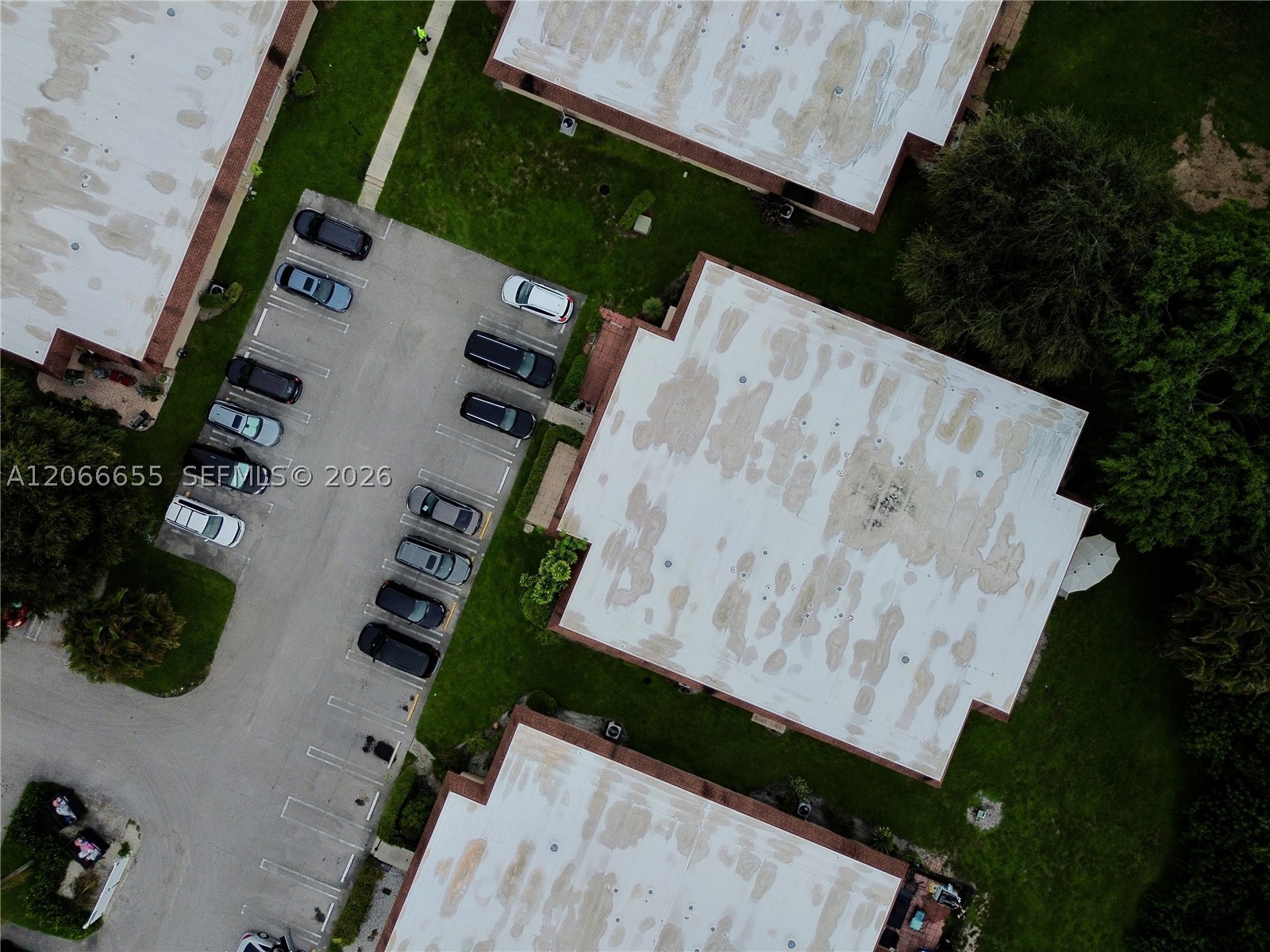 1904 Palmland Dr 3 Property Photo 17