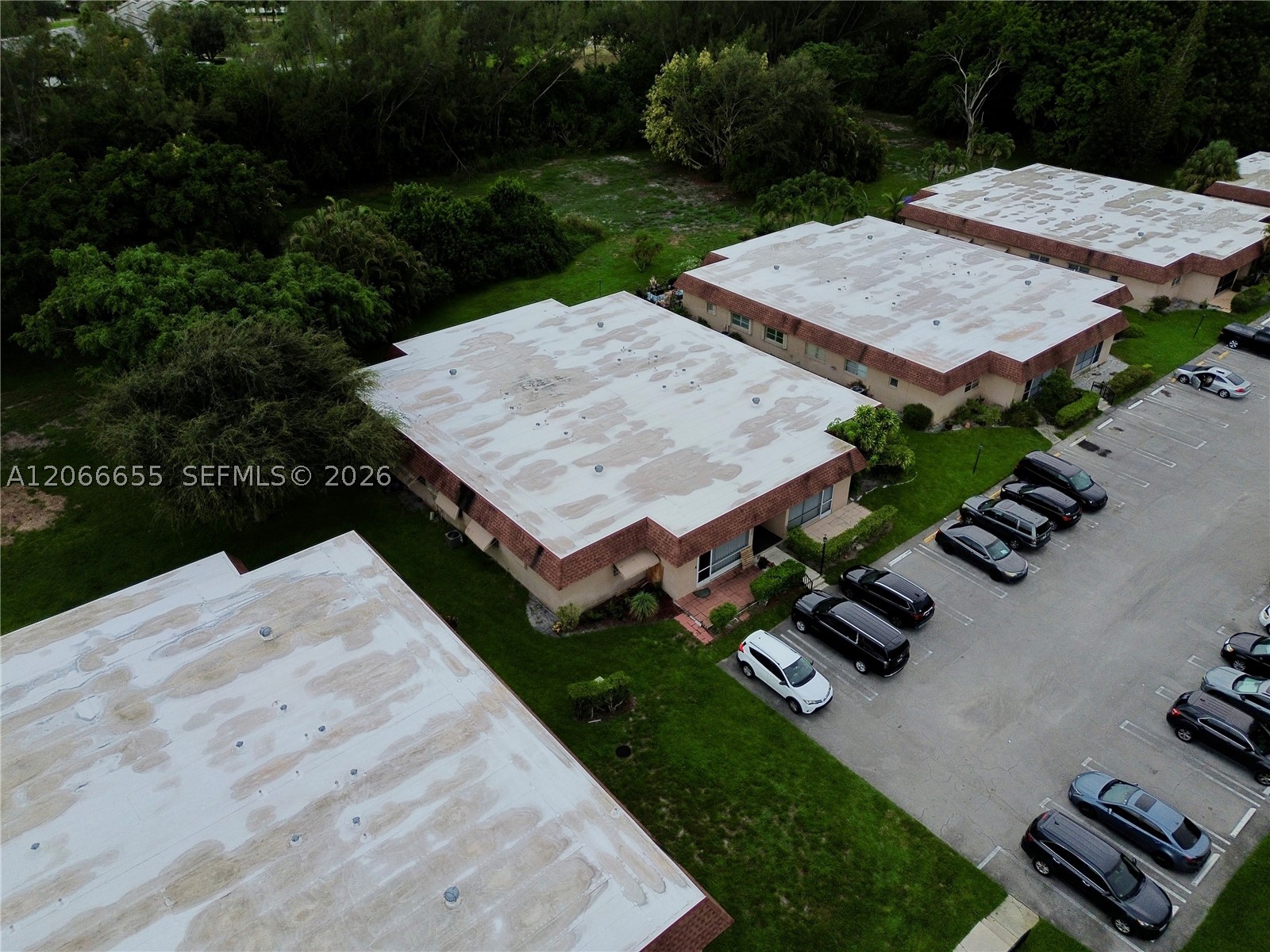 1904 Palmland Dr 3 Property Photo 21