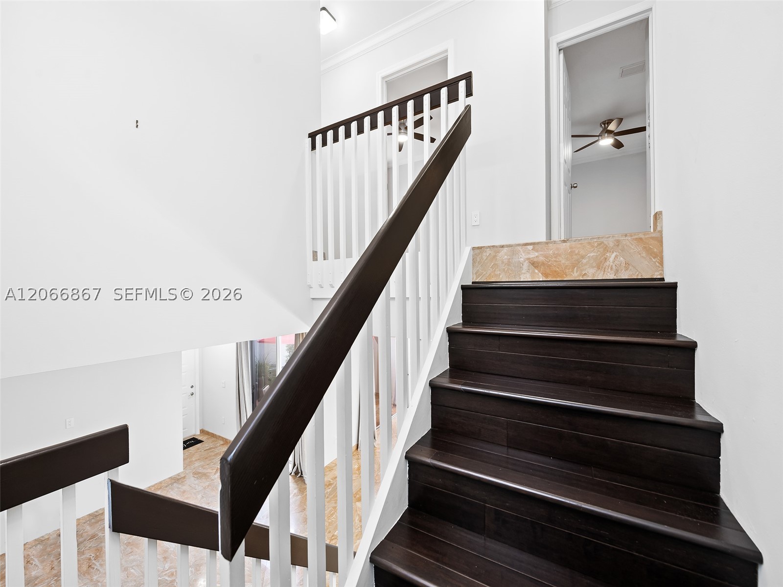 1515 Seagrape Way Property Photo 14