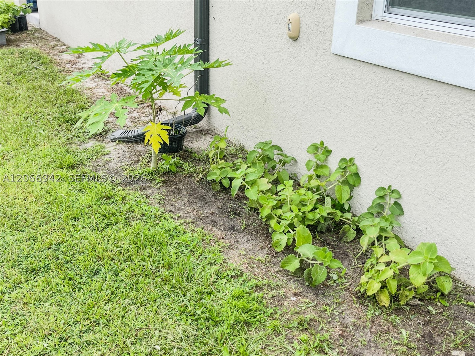 2013 Odessa Circle Property Photo 50