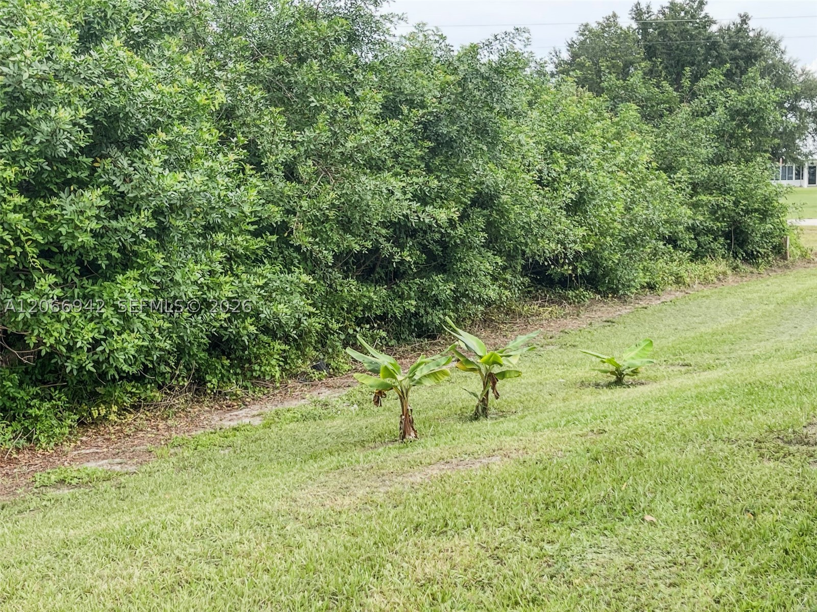 2013 Odessa Circle Property Photo 51