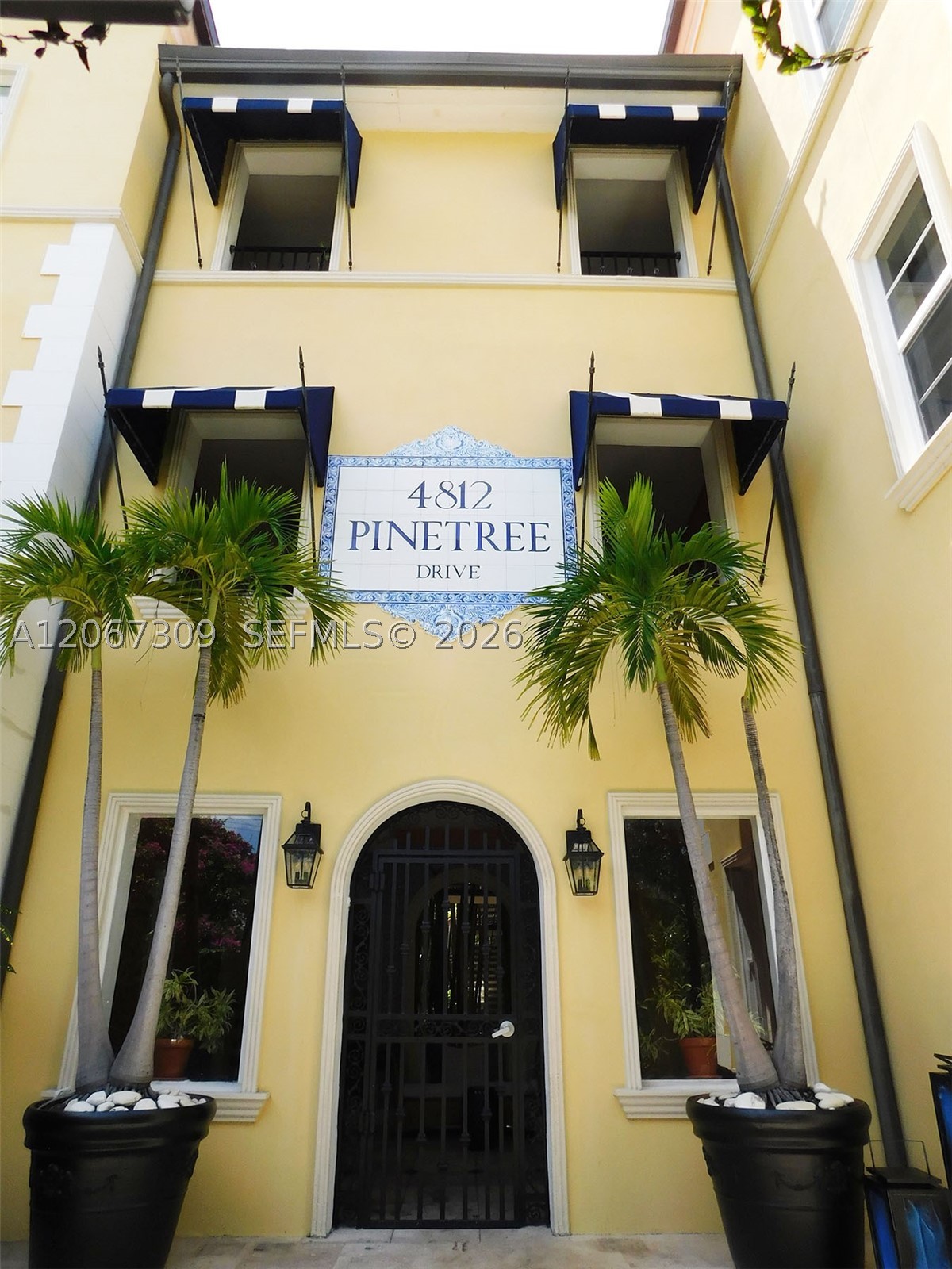 4812 Pine Tree Dr 206 Property Photo 1
