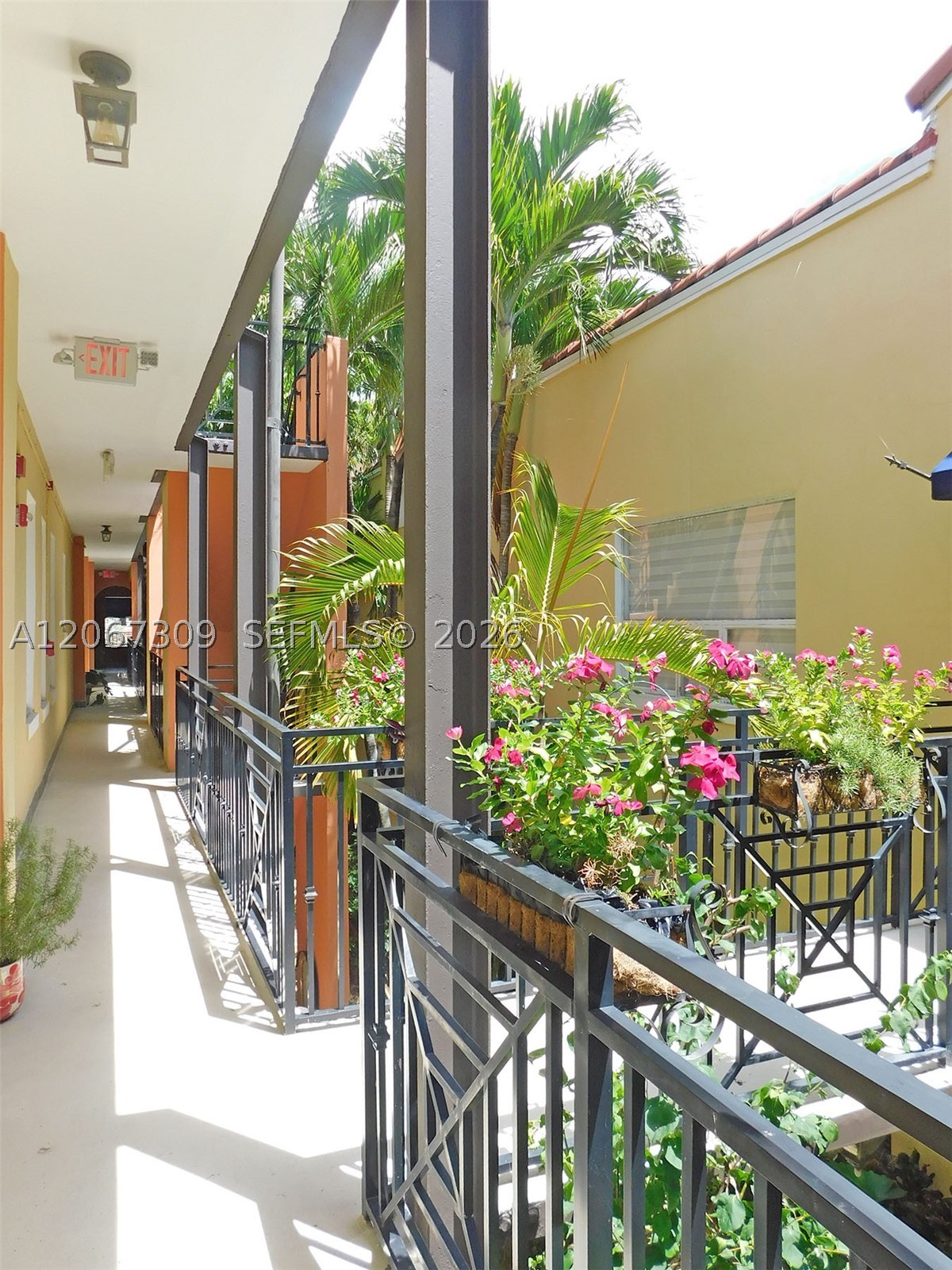 4812 Pine Tree Dr 206 Property Photo 10