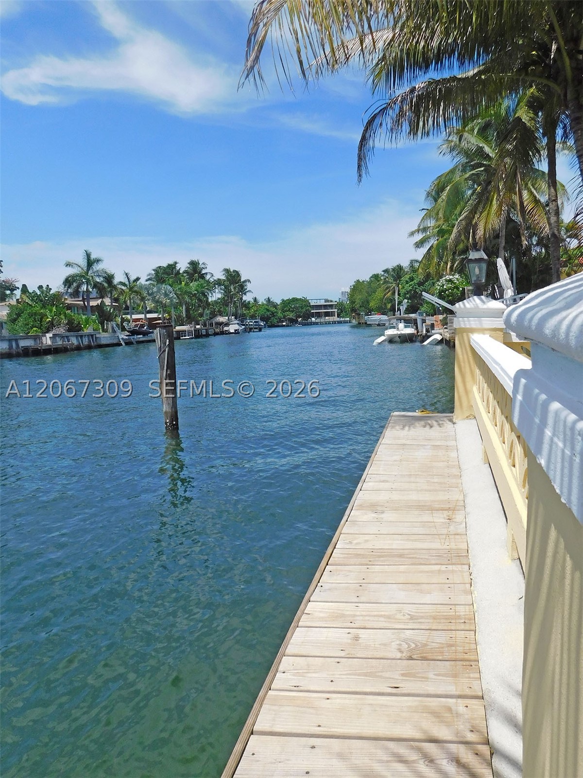 4812 Pine Tree Dr 206 Property Photo 25