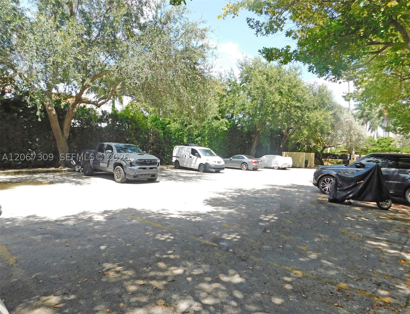 4812 Pine Tree Dr 206 Property Photo 32