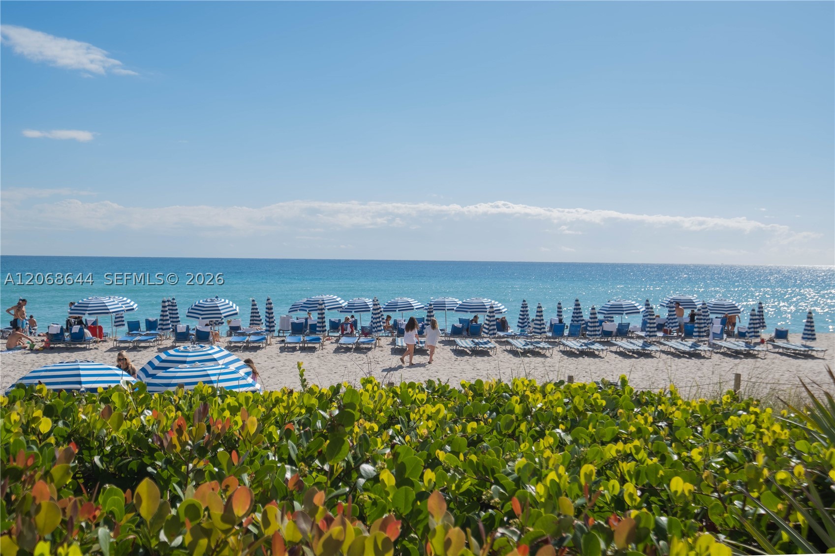 2602 E Hallandale Beach Blvd R1905 Property Photo 42