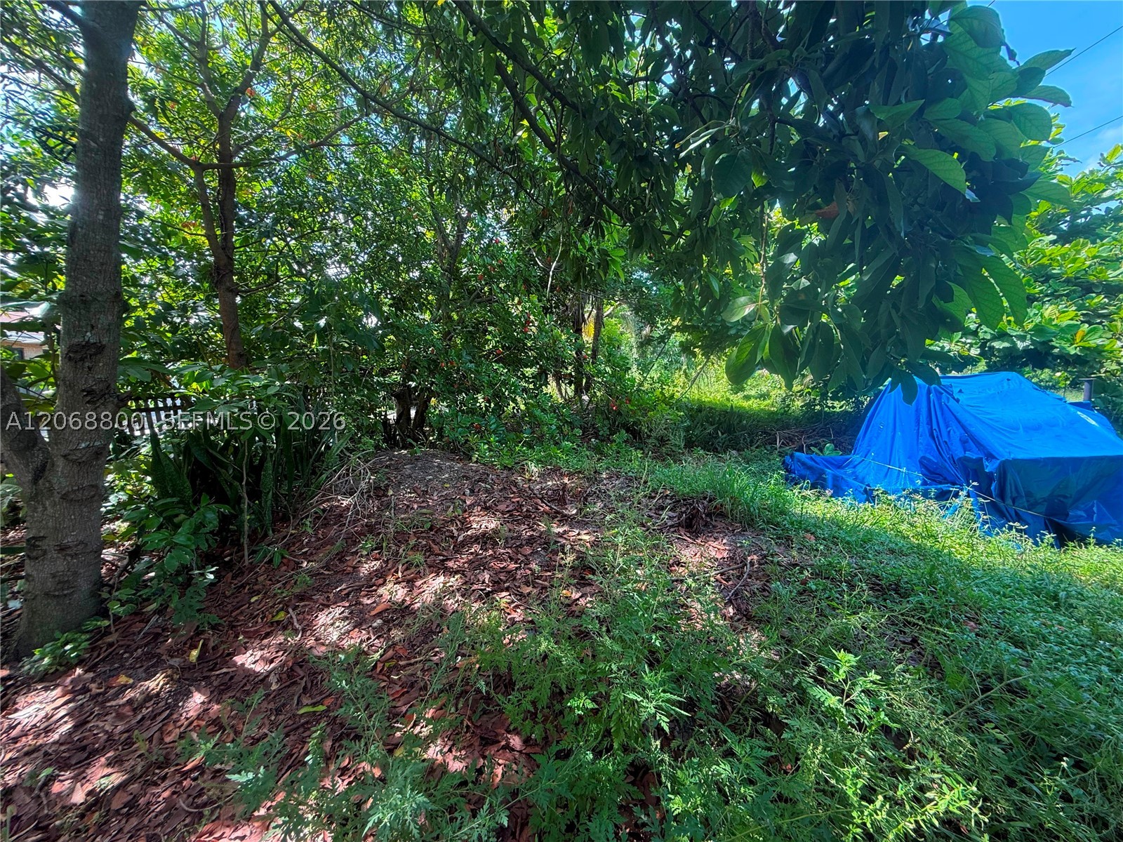 1409 Broadmoor Property Photo 21