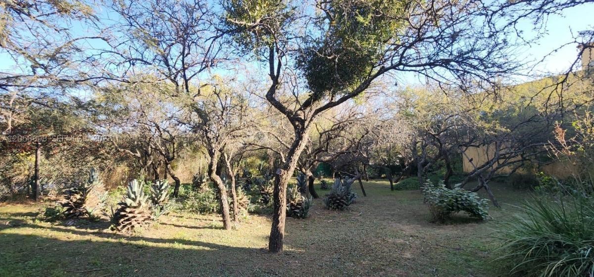 1185 Progreso Property Photo 35