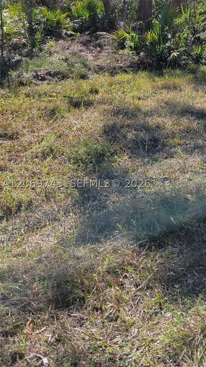 14165 Chamberlain Property Photo 4