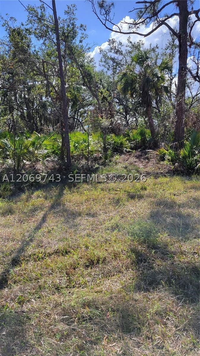 14165 Chamberlain Property Photo 5