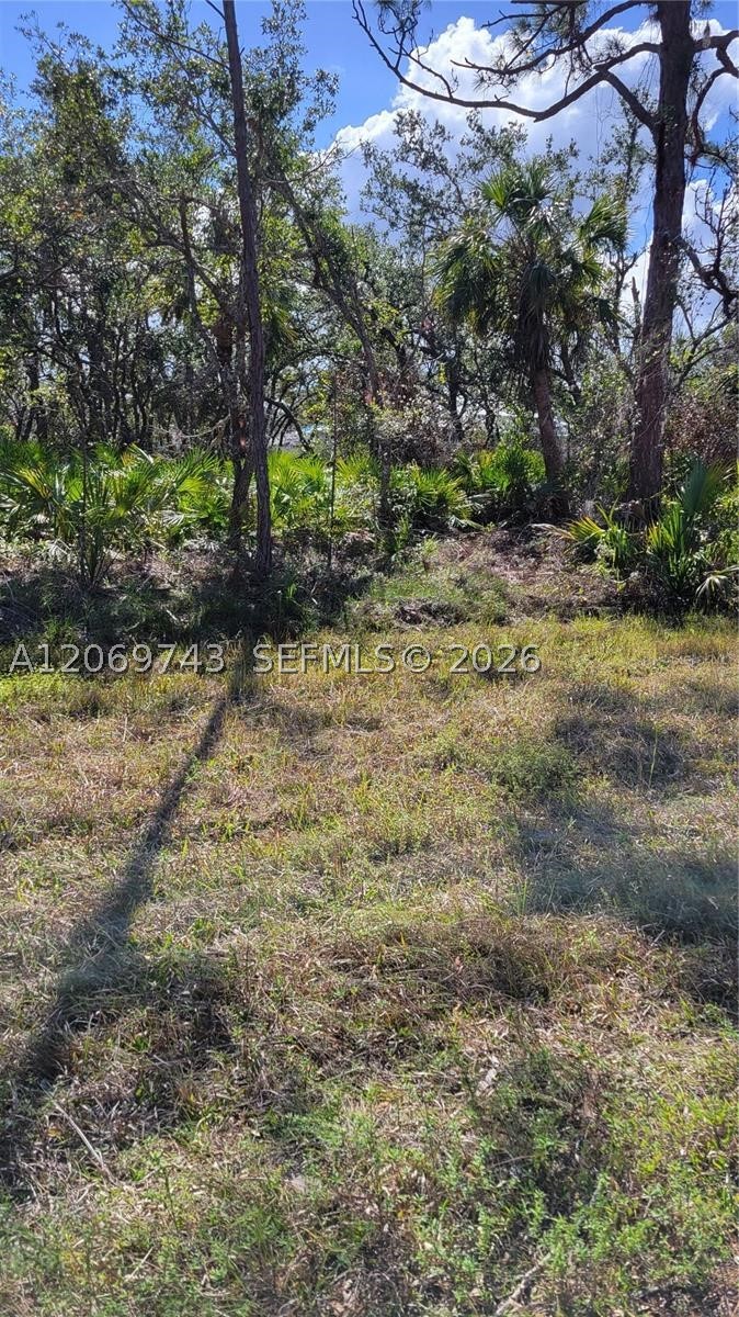 14165 Chamberlain Property Photo 6