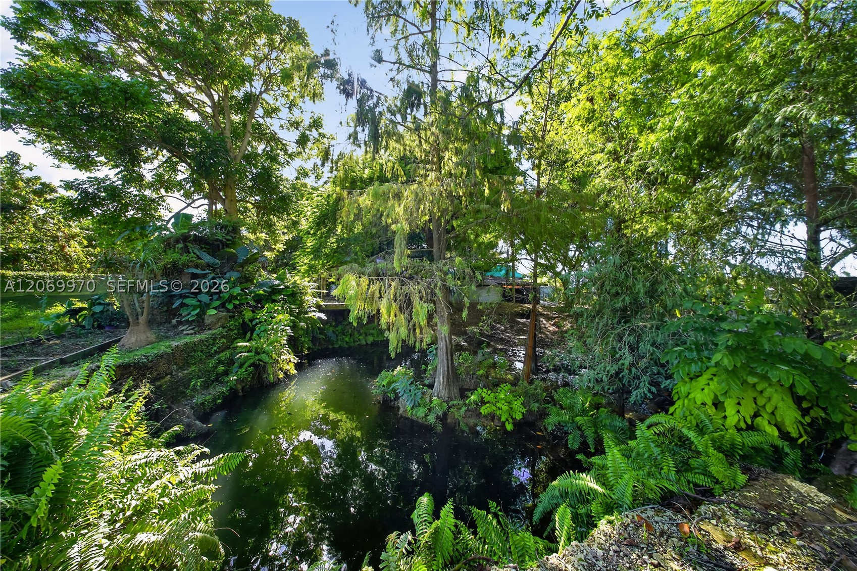 A12069970 Property Photo 4