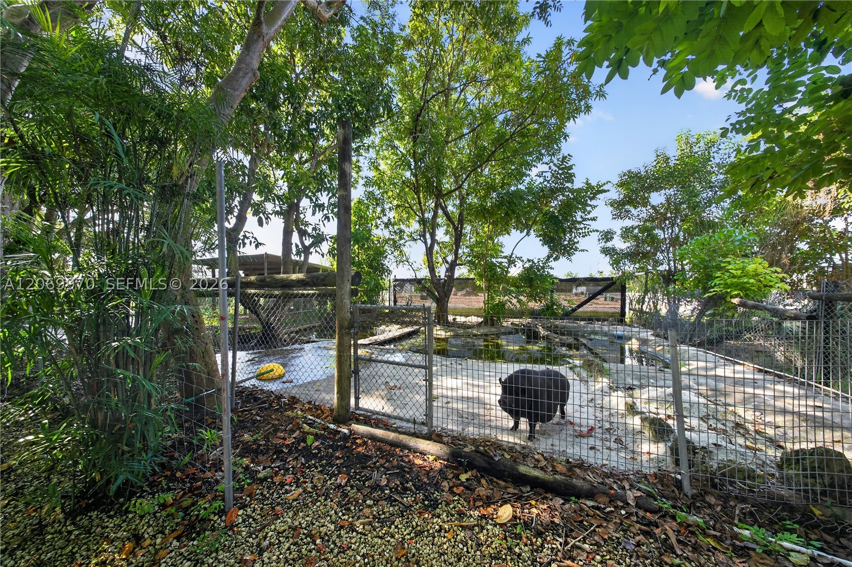 A12069970 Property Photo 37