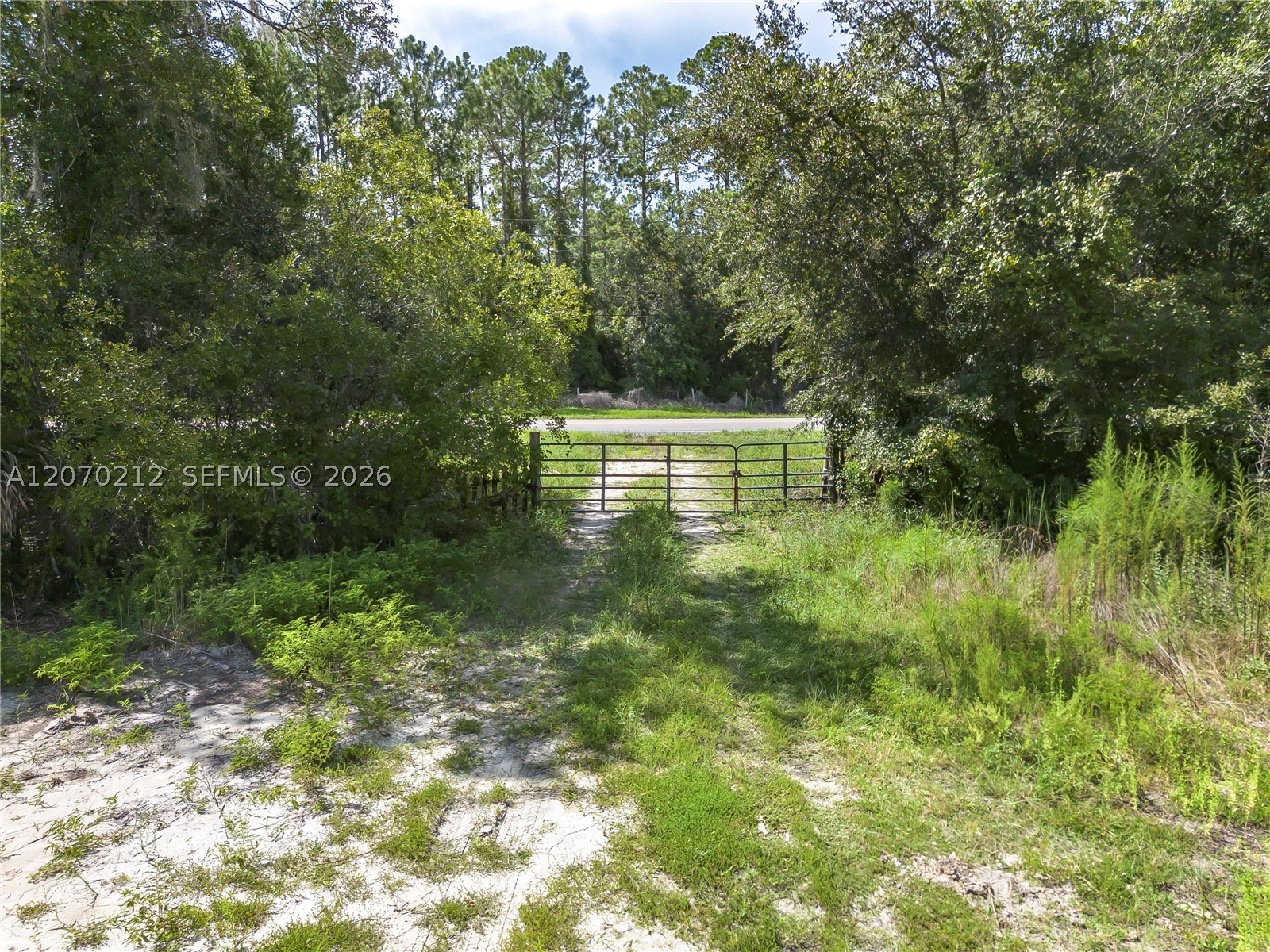 1349 Water Oak Rd Property Photo 4