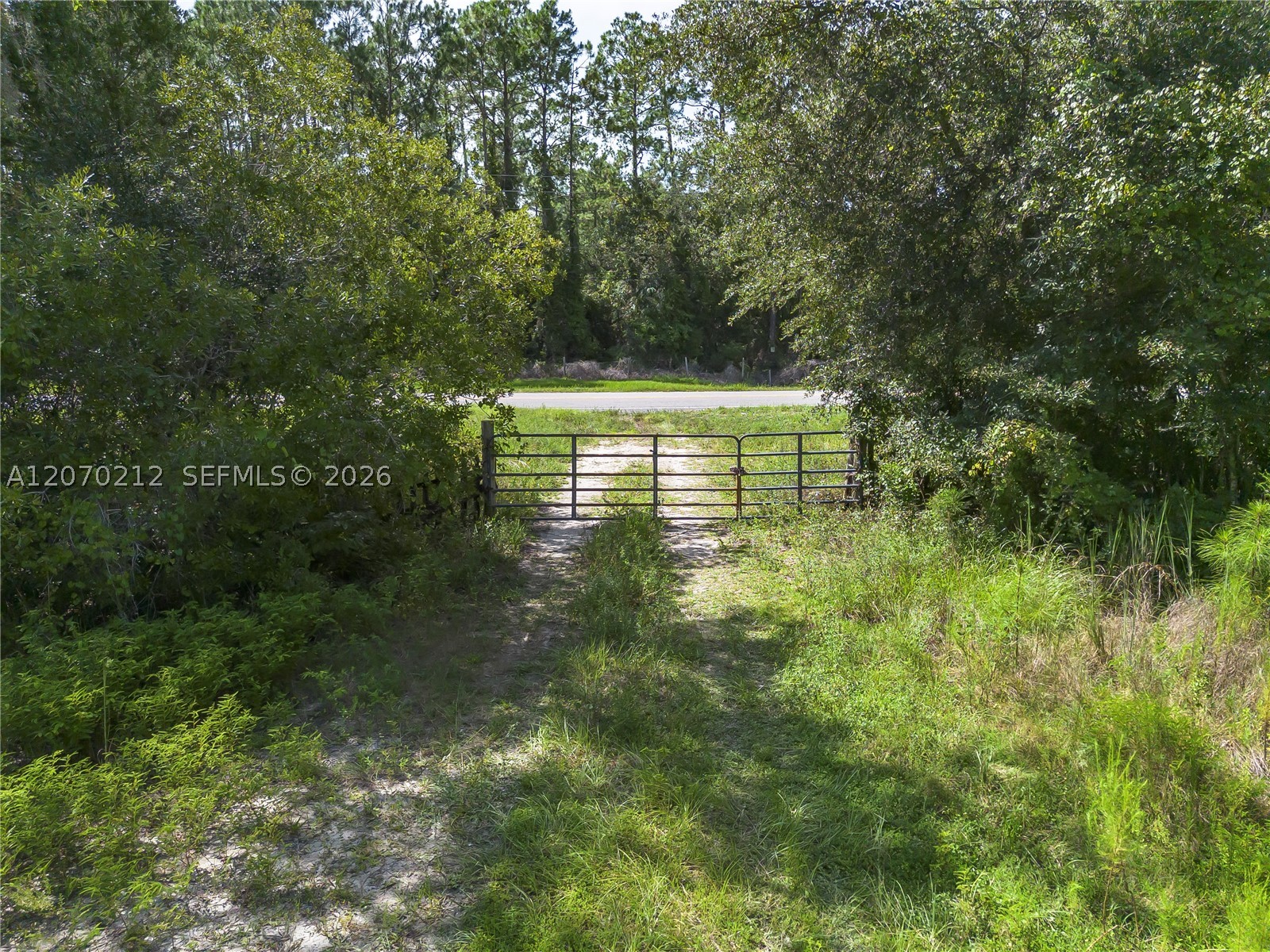 1349 Water Oak Rd Property Photo 9