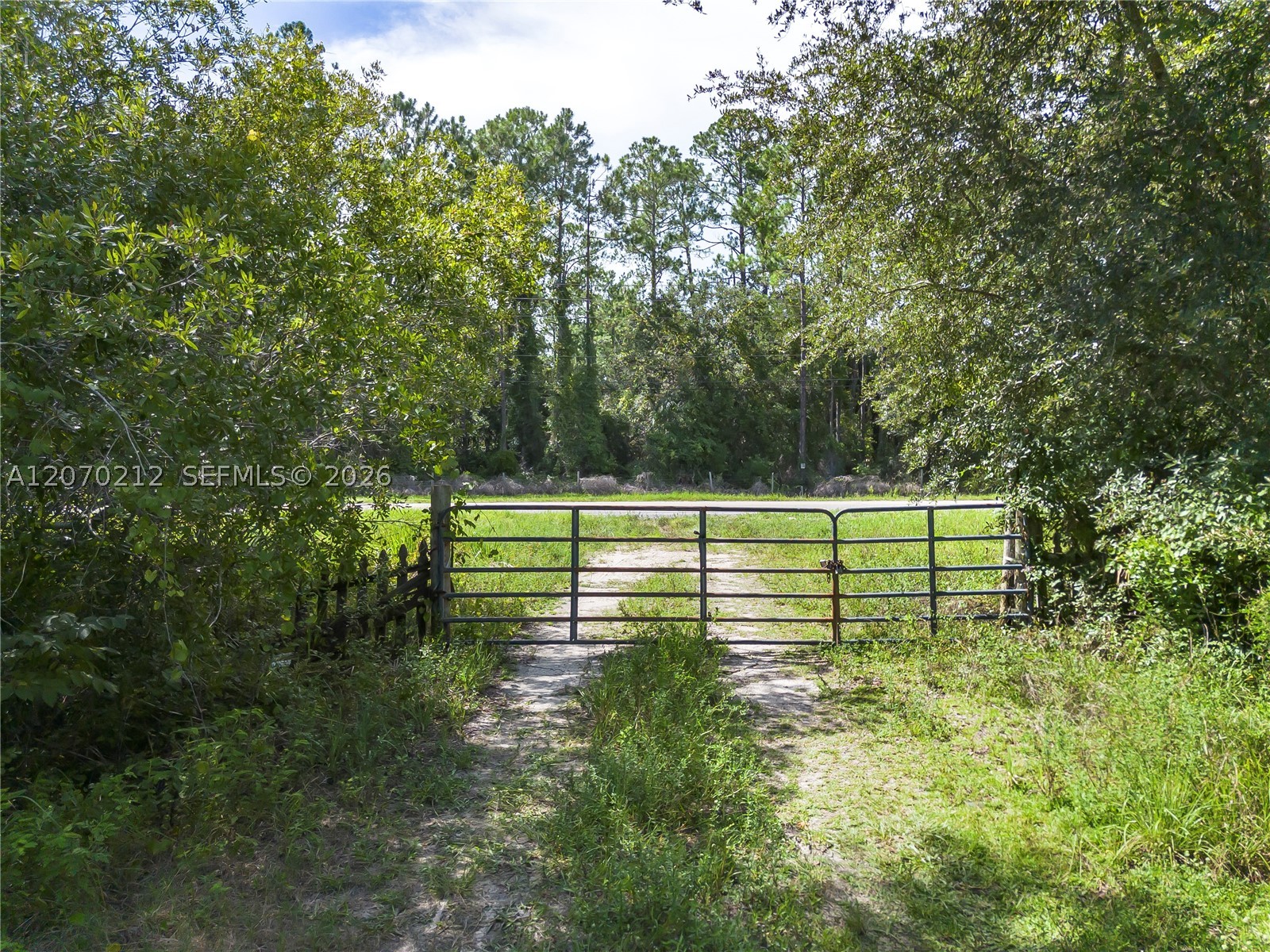 1349 Water Oak Rd Property Photo 12