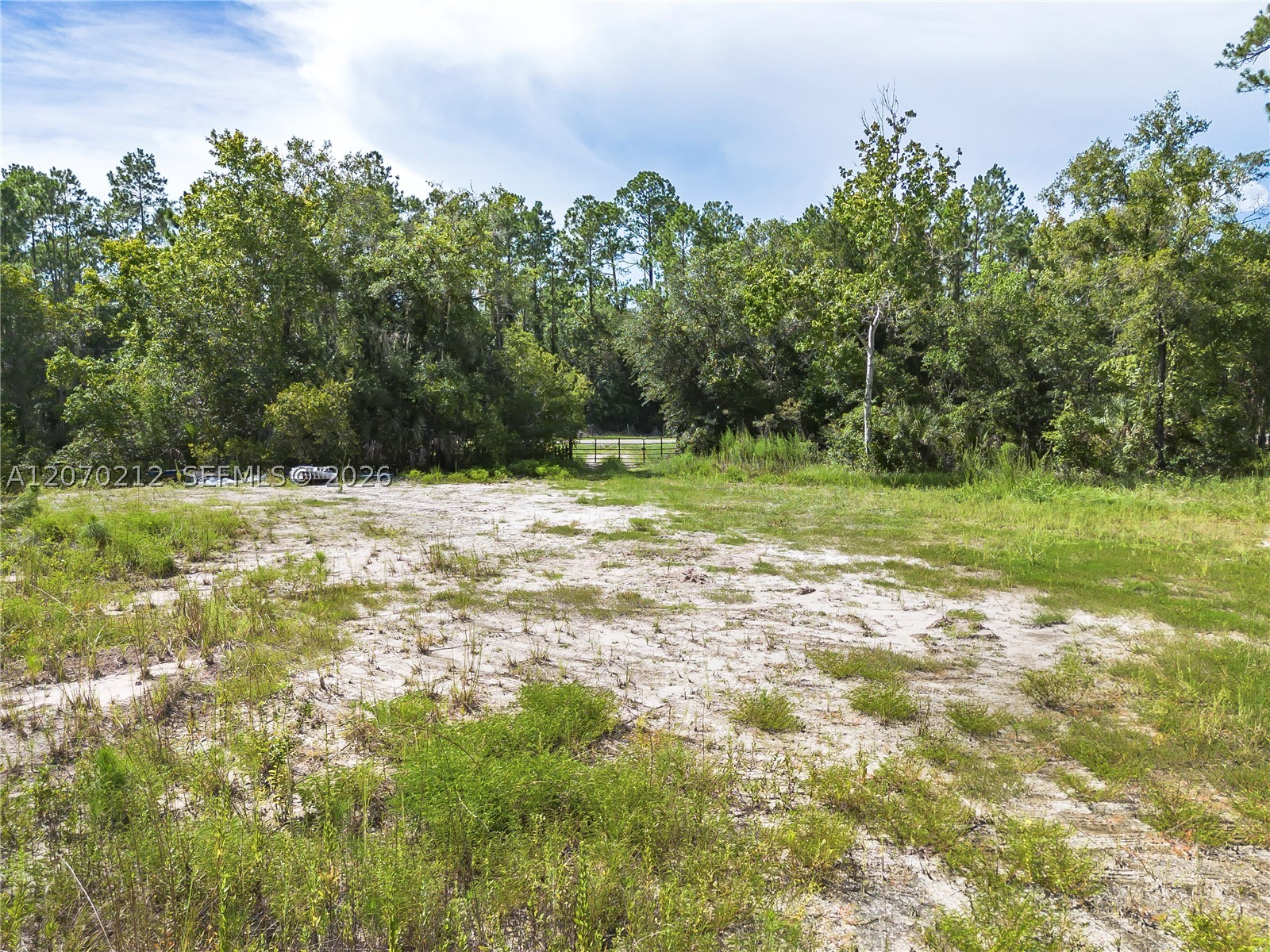 1349 Water Oak Rd Property Photo 14