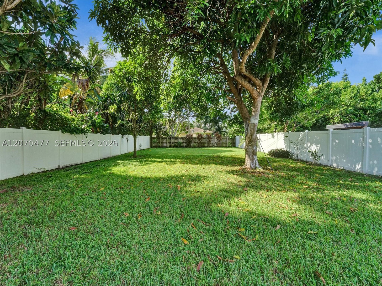 2446 Fillmore St Property Photo 59