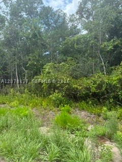 00 Range Line Property Photo 5