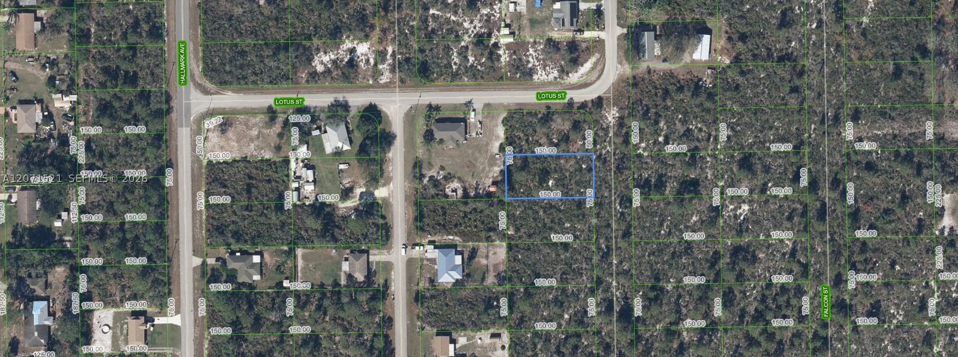 348 Sandpiper St Property Photo 1