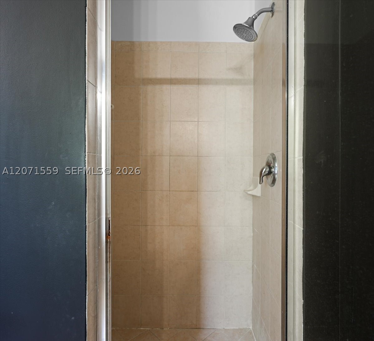 11224 Sw 236th Ln 11224 Property Photo 33